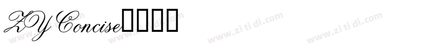 ZY Concise字体转换
